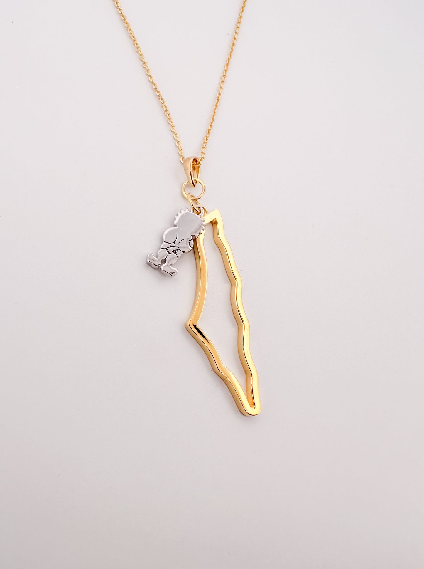 Palestine Map with Handala Charm Necklace