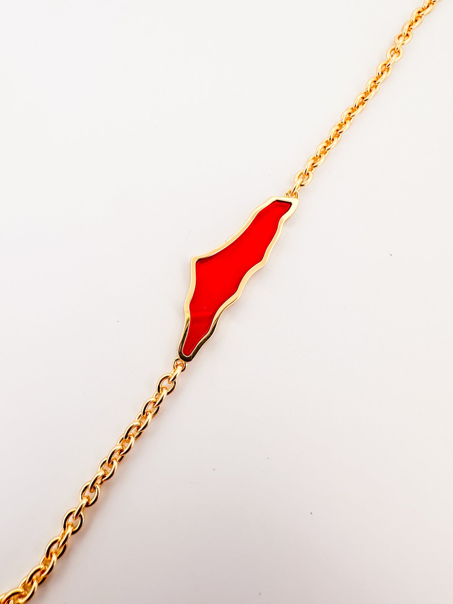 Palestine Map with Shell Bracelet