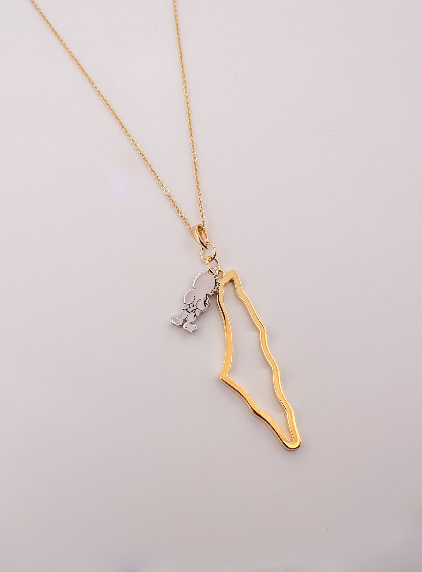 Palestine Map with Handala Charm Necklace