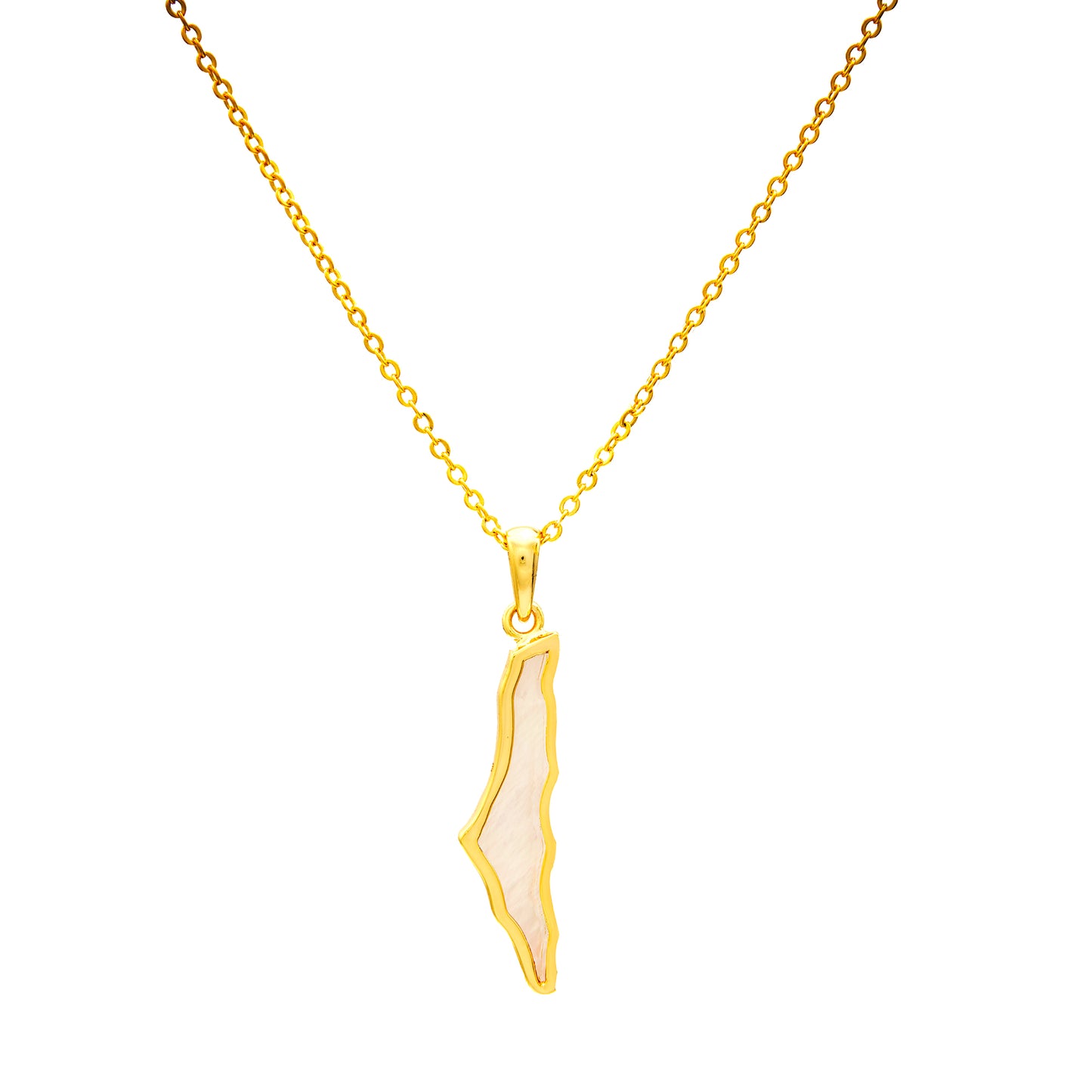 Dainty Palestine Shell Necklace