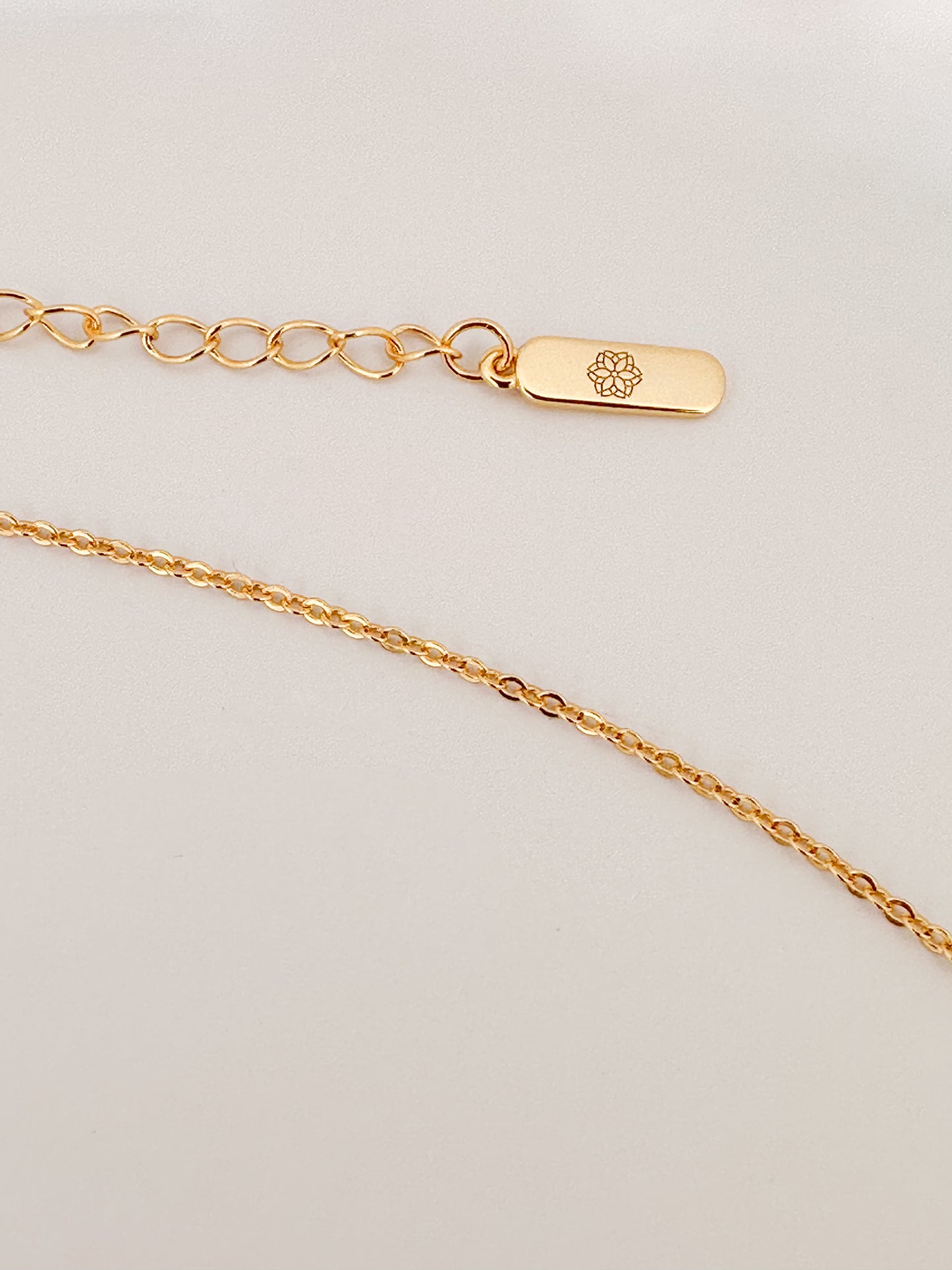 Dainty Palestine Shell Necklace