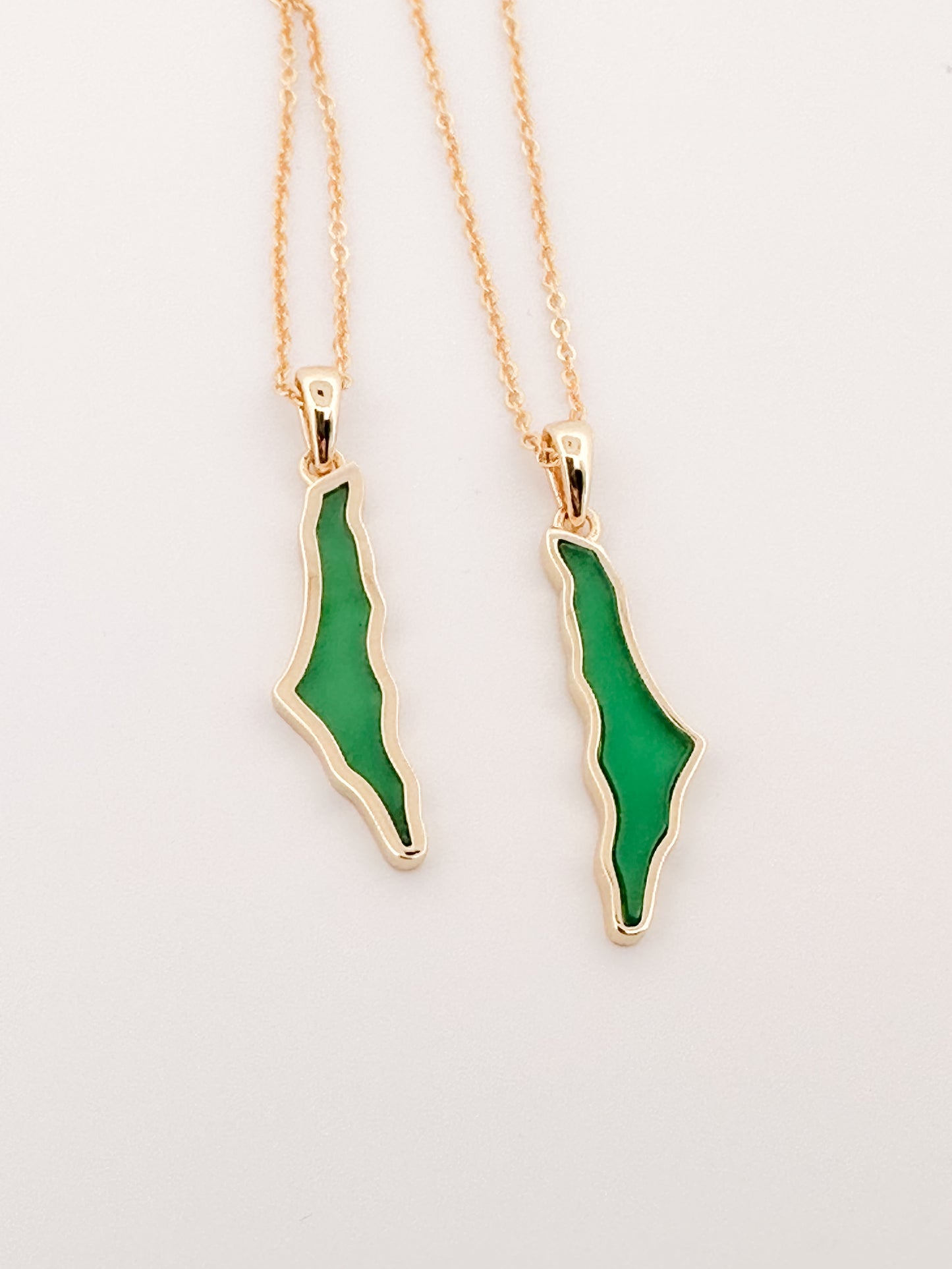 Dainty Palestine Shell Necklace
