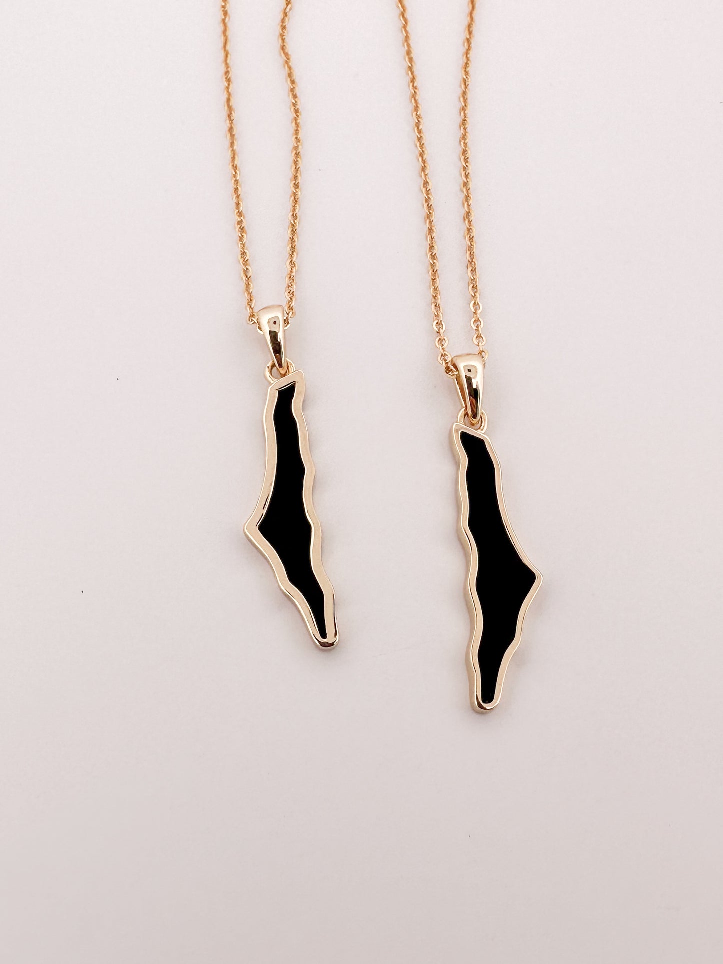 Dainty Palestine Shell Necklace