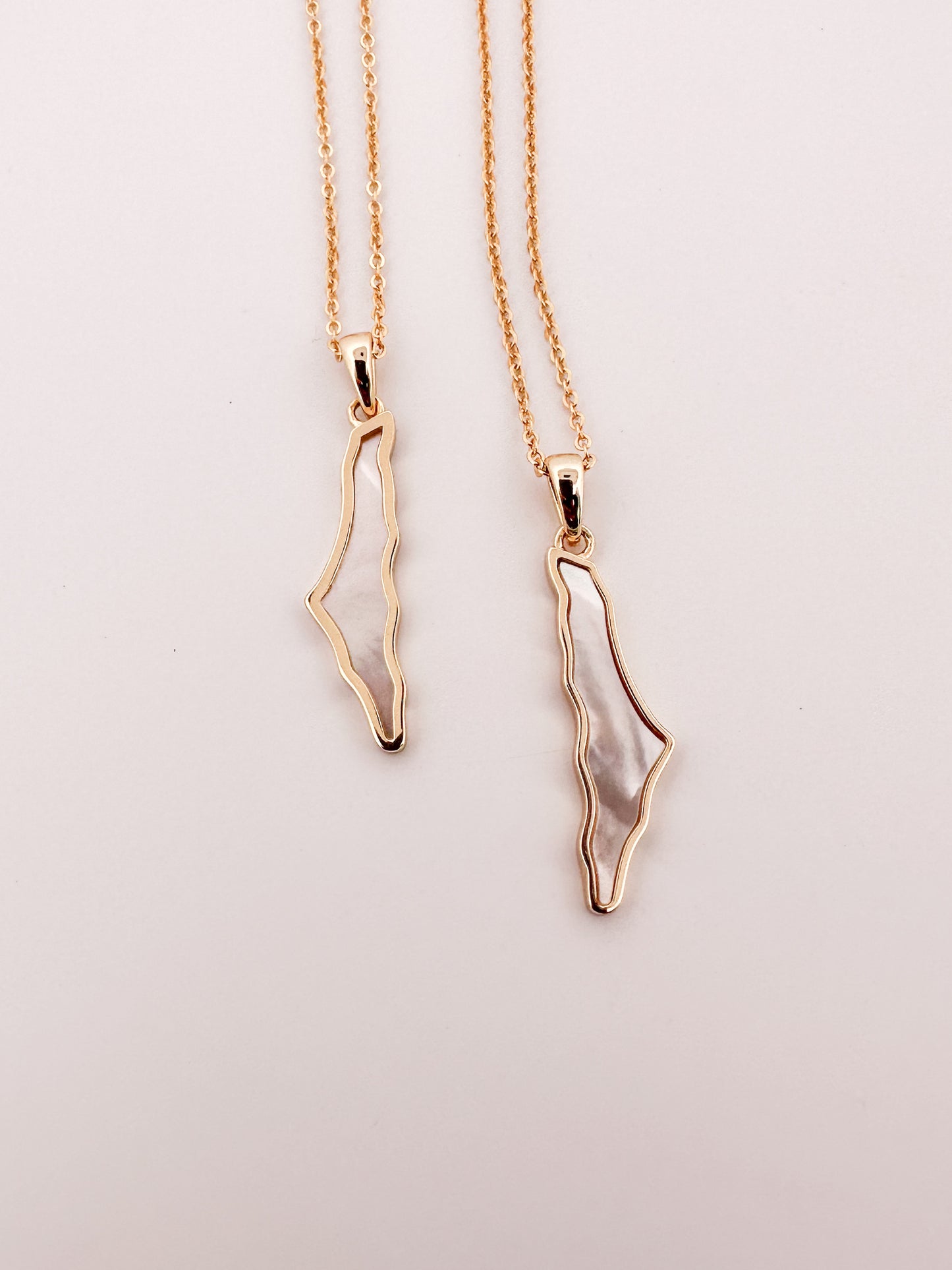 Dainty Palestine Shell Necklace