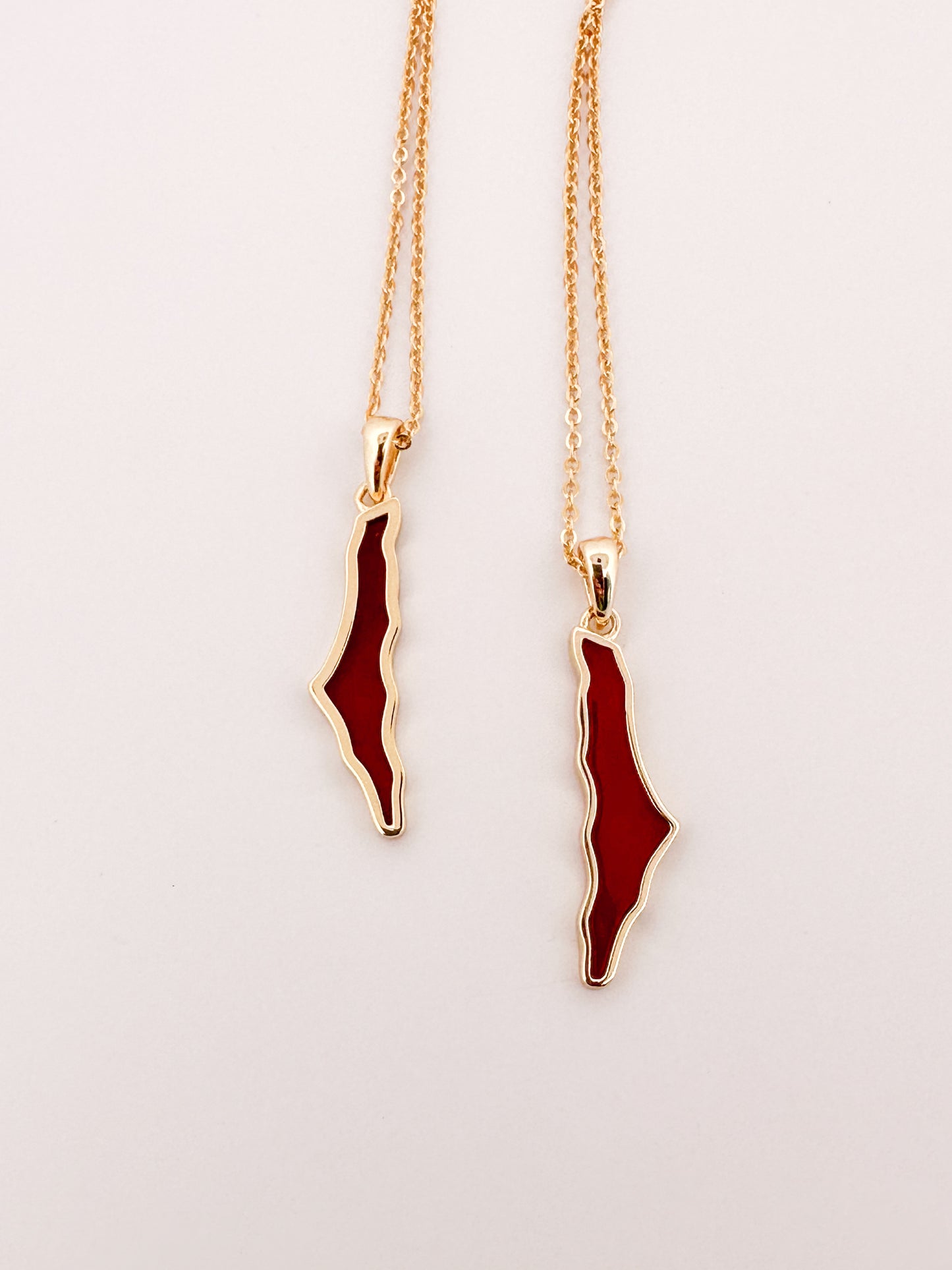 Dainty Palestine Shell Necklace