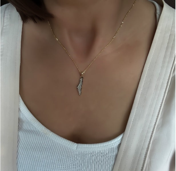 Dainty Palestine Shell Necklace