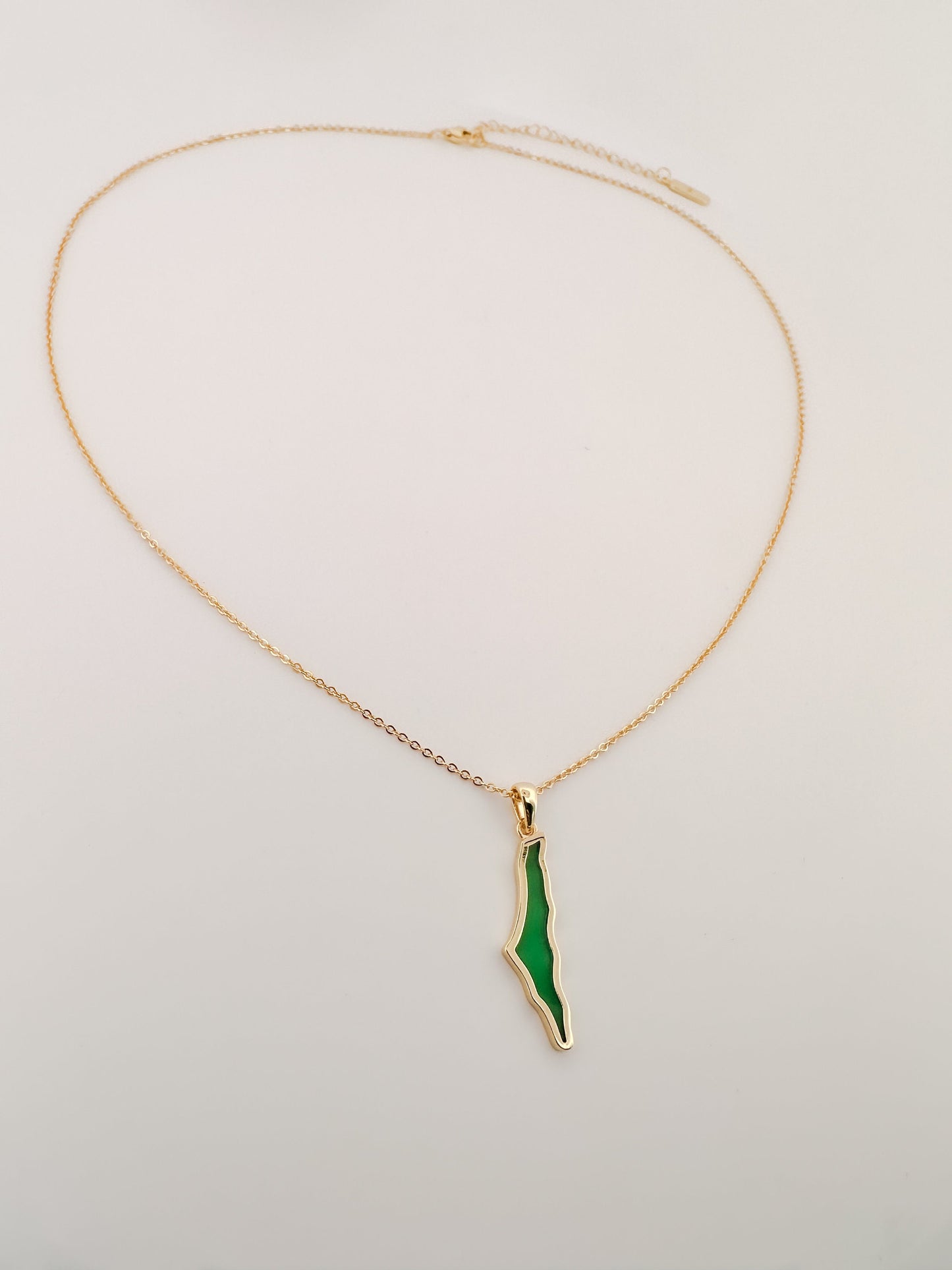Dainty Palestine Shell Necklace