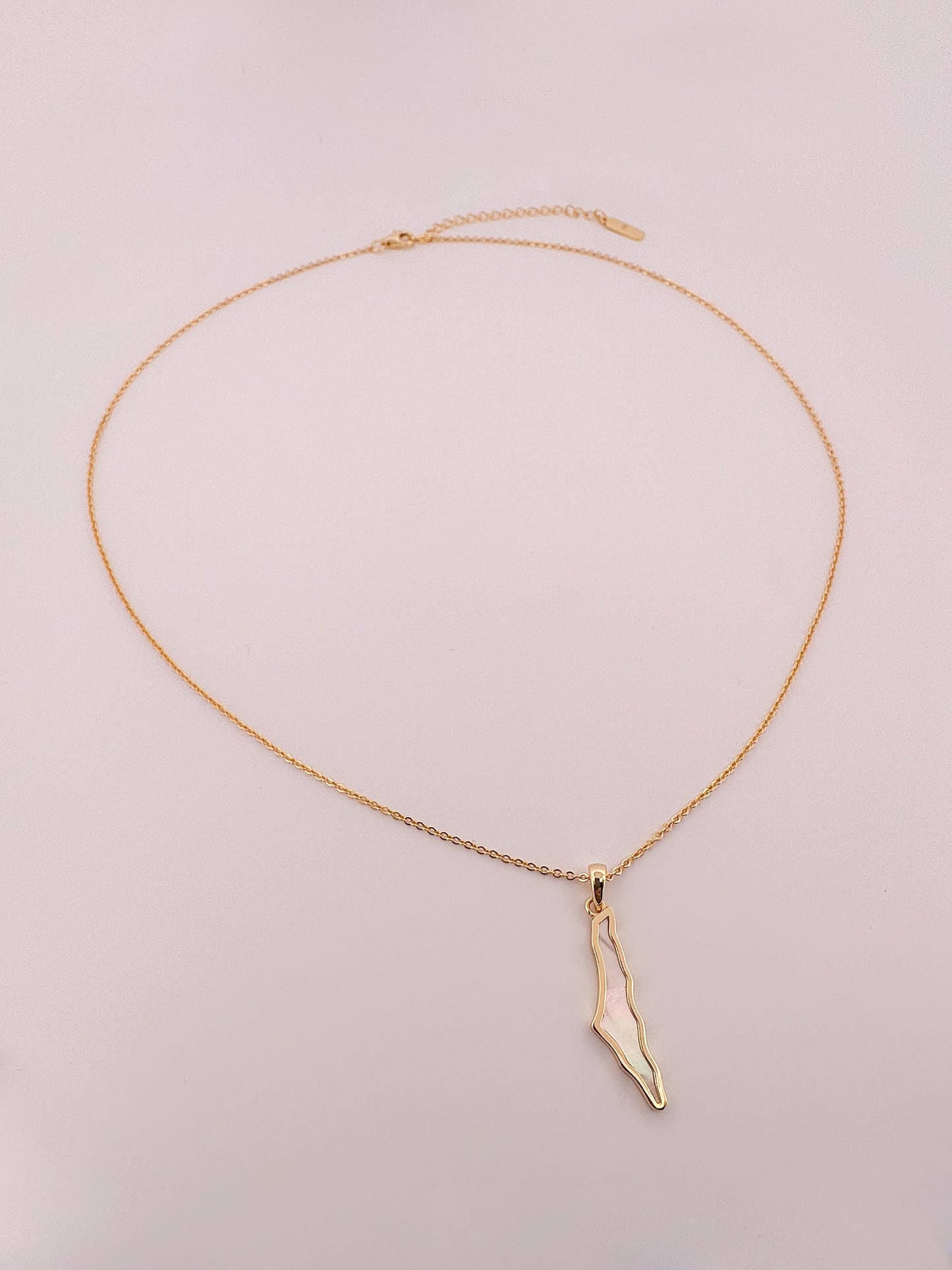Dainty Palestine Shell Necklace
