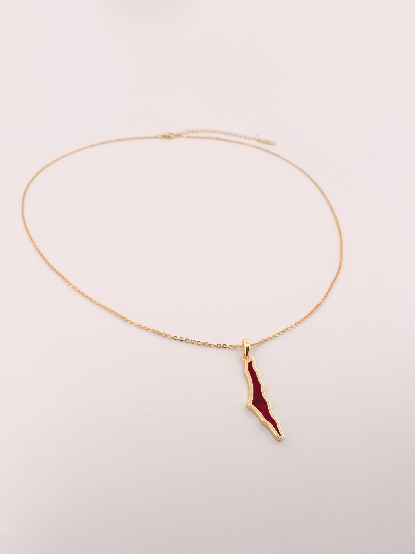 Dainty Palestine Shell Necklace