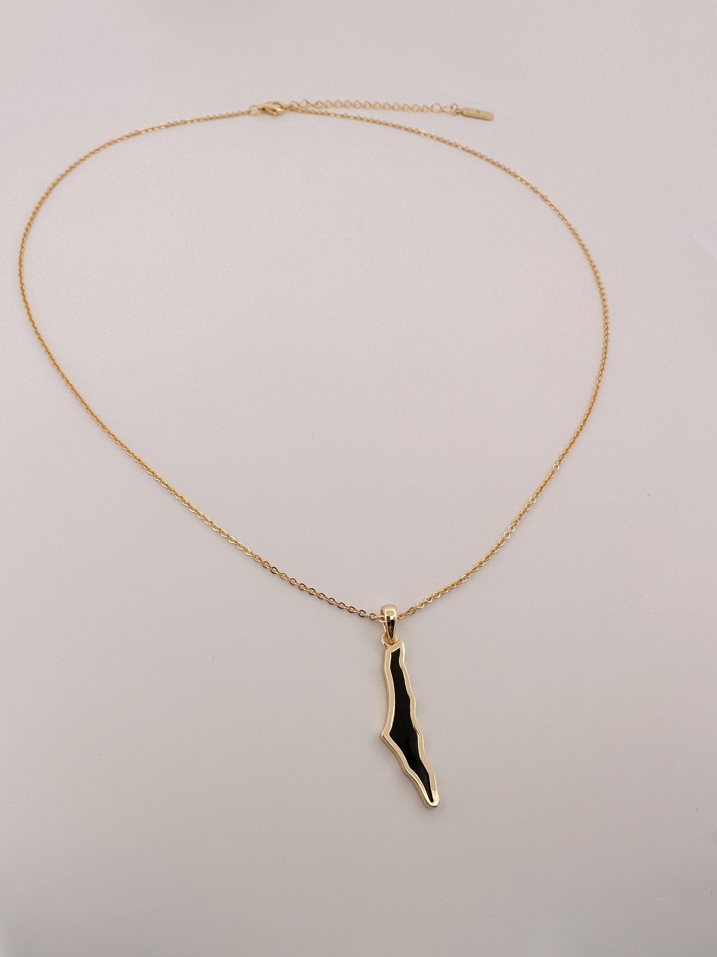 Dainty Palestine Shell Necklace