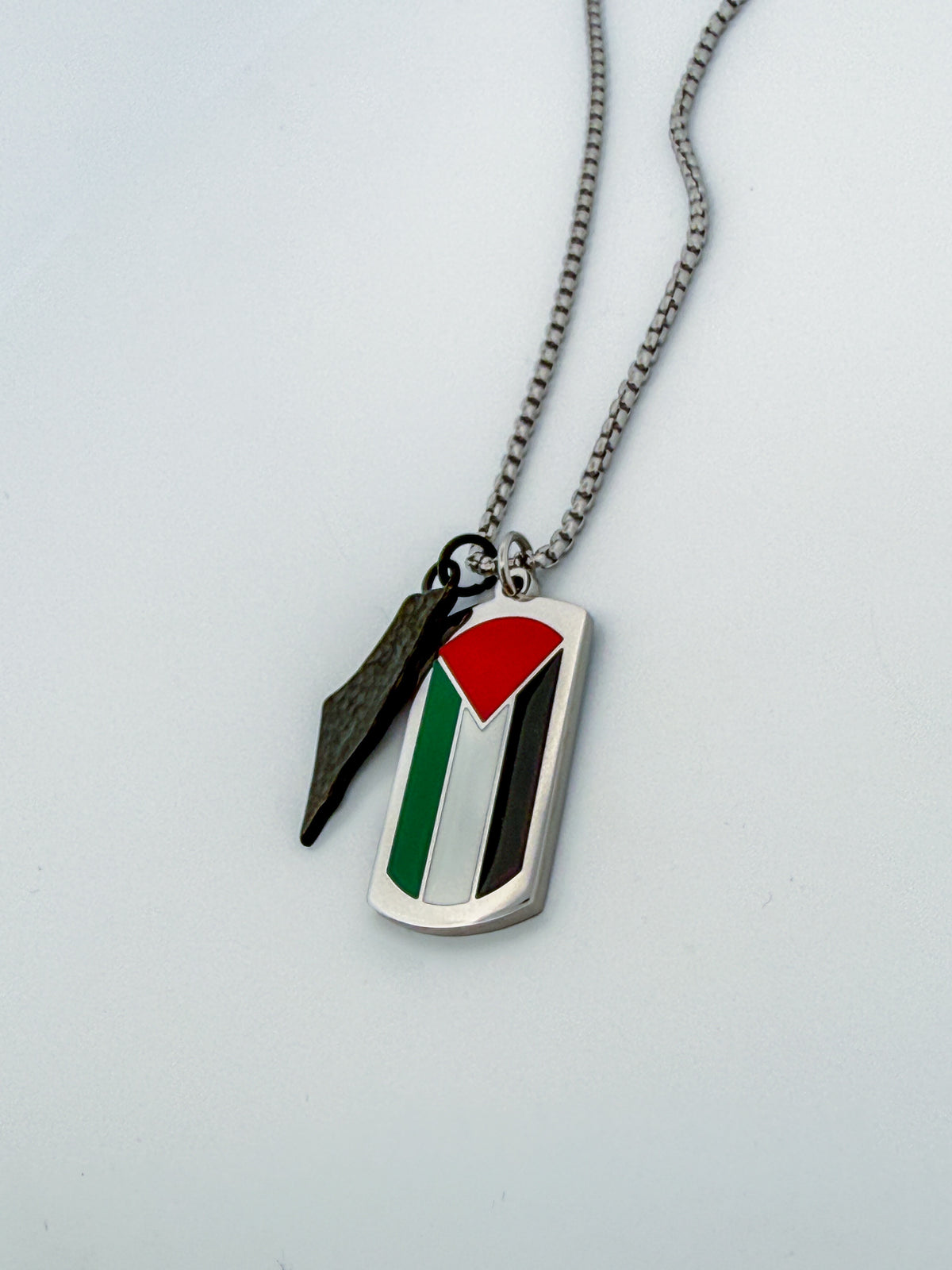 Palestine Flag Dog Tag Necklace with Map Charm| Stainless Steel Pendant with Charm