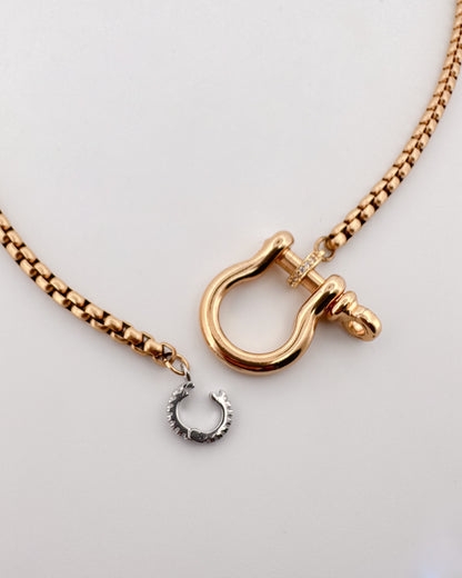 Horseshoe Clasp Chain Necklace