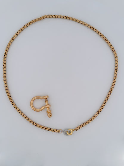 Horseshoe Clasp Chain Necklace