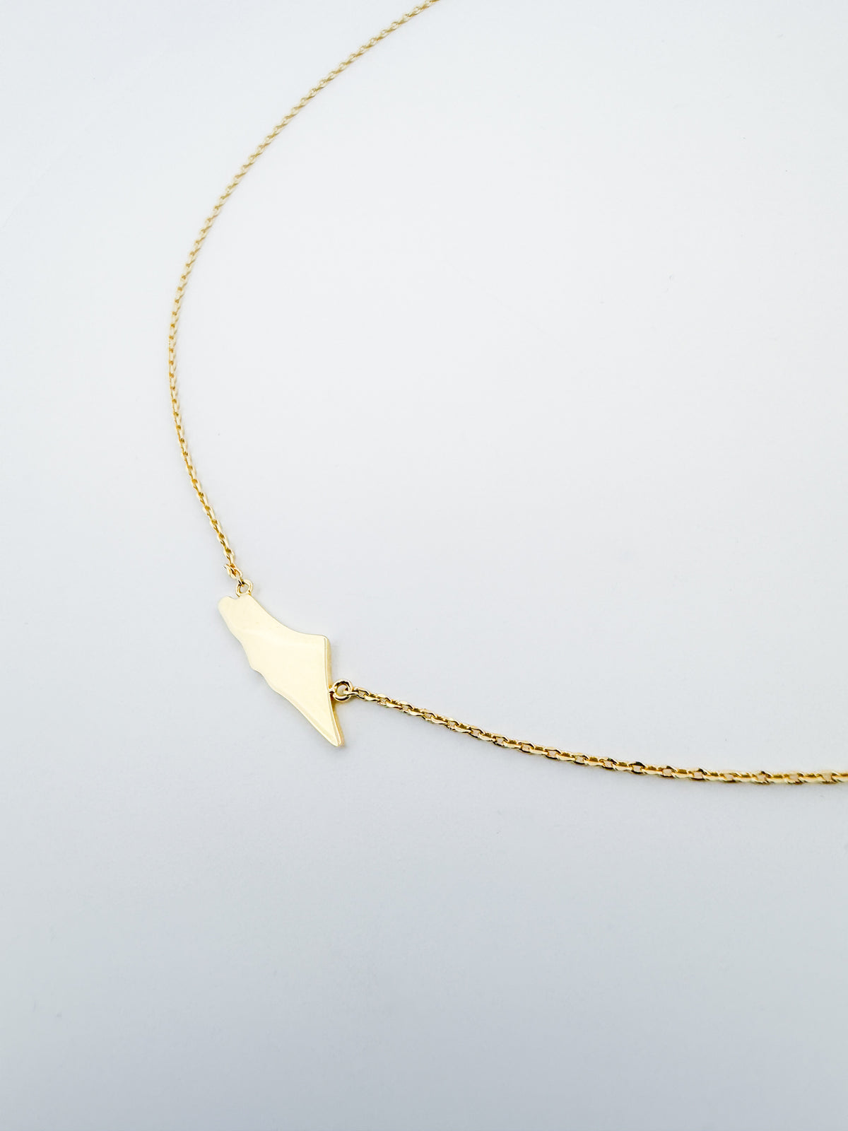 Dainty Palestine Map Choker Necklace | 18K Gold Plated | Minimalist Heritage Jewelry