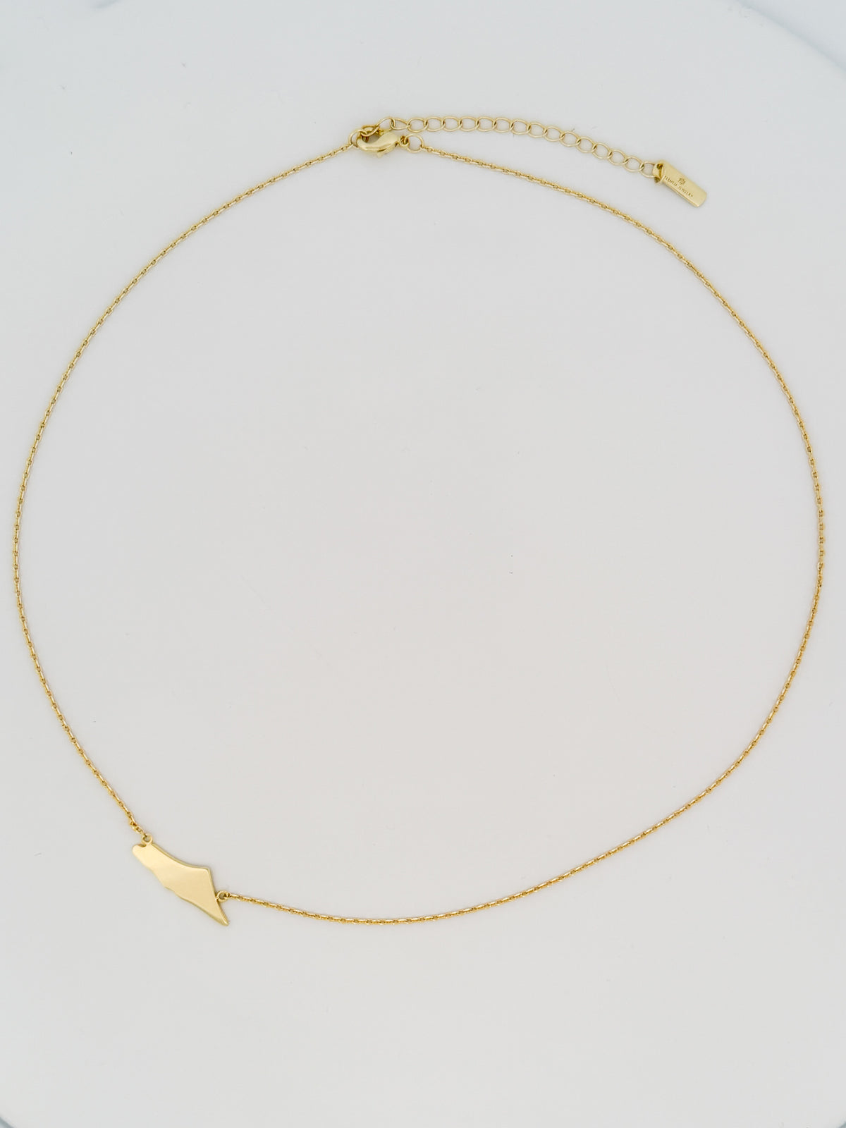 Dainty Palestine Map Choker Necklace | 18K Gold Plated | Minimalist Heritage Jewelry