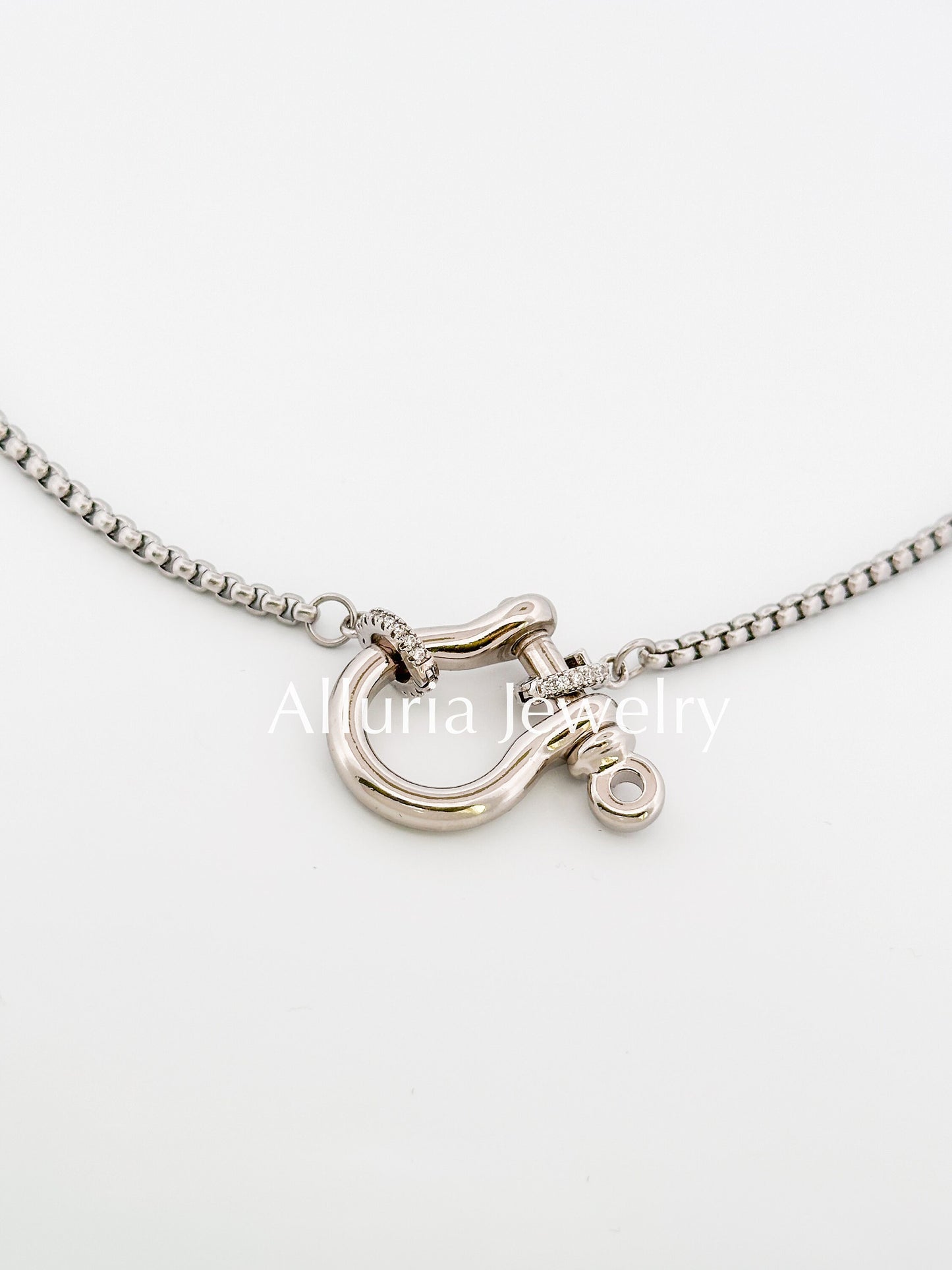 Silver Horseshoe Clasp with Round Box Chain Necklace