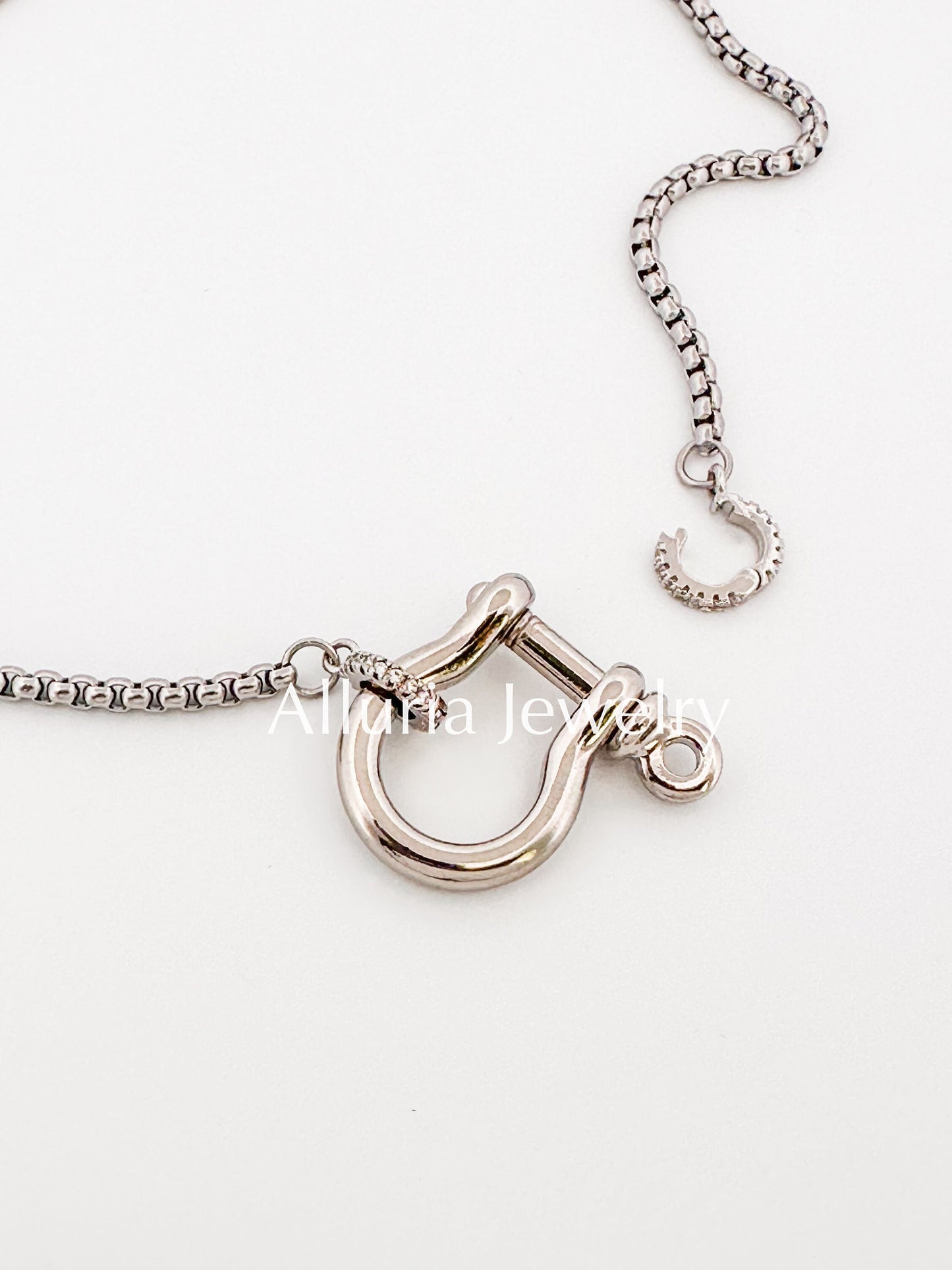 Silver Horseshoe Clasp with Round Box Chain Necklace