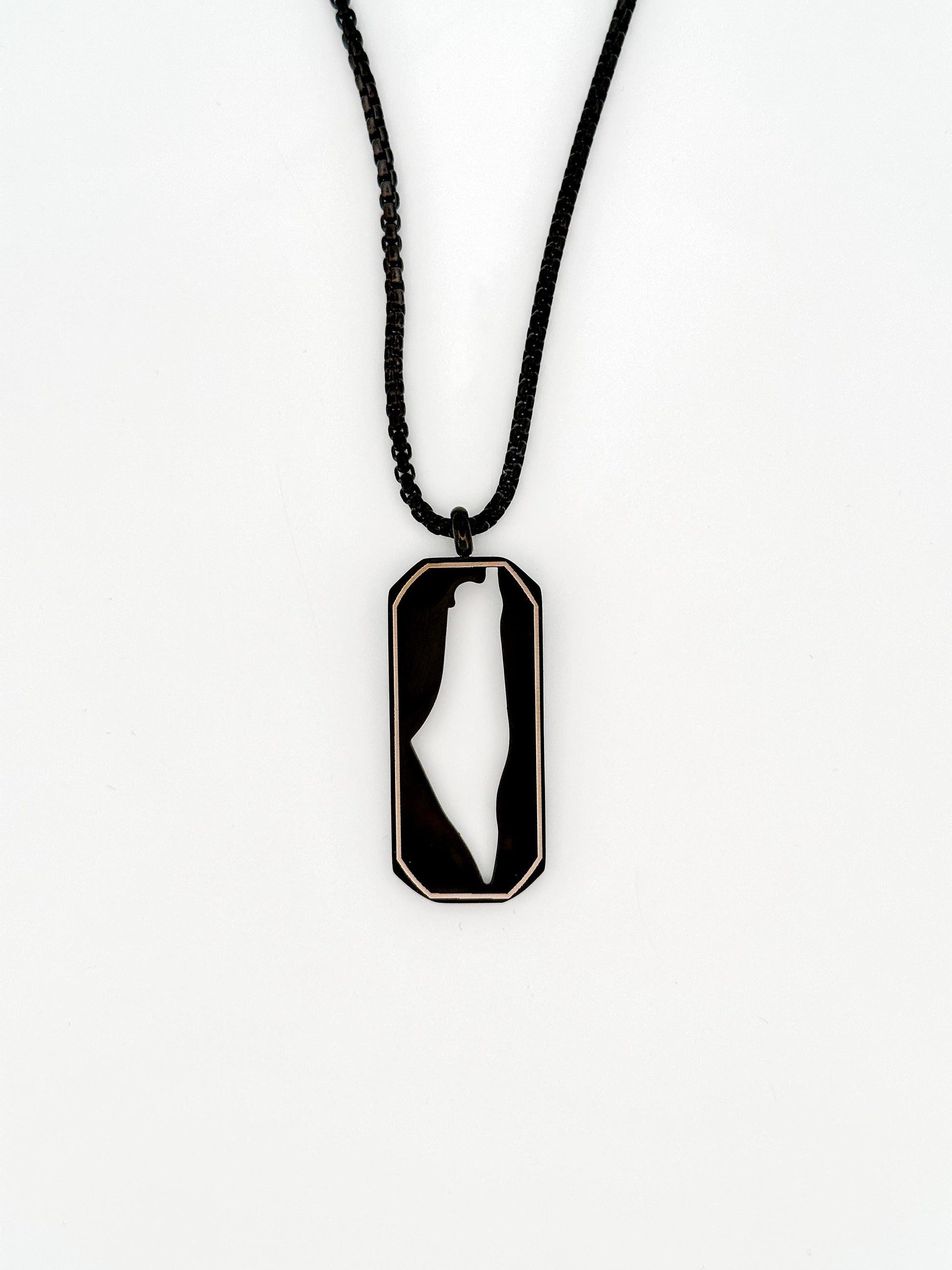 Palestine Map Dog Tag Necklace | Stainless Steel Pendant, Black Silver Cutout