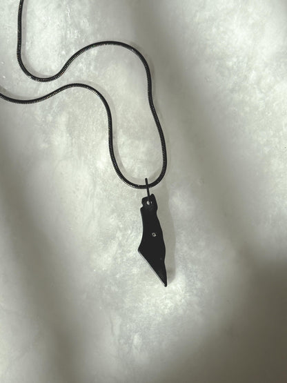 Black Palestine Map Necklace | Stainless Steel with CZ Jerusalem | Snake Chain | Palestinian Heritage Jewelry