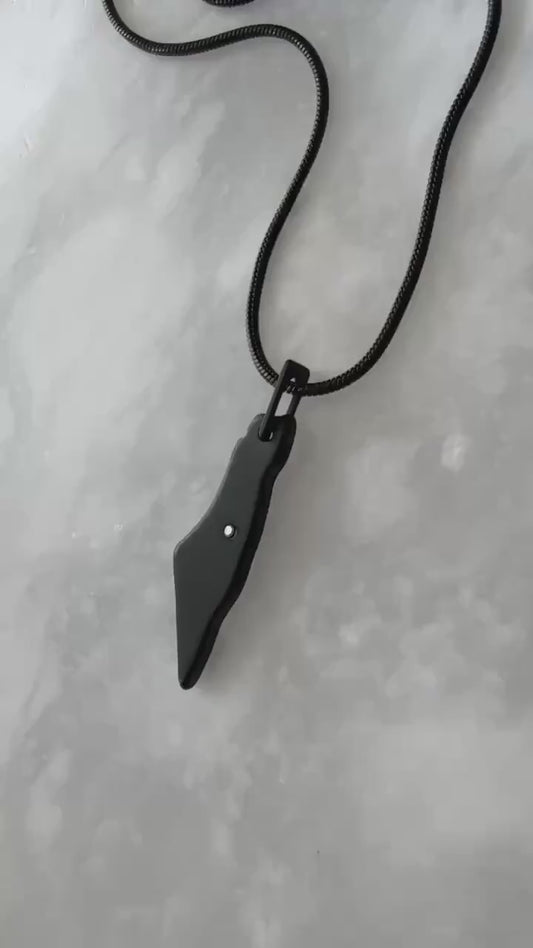 Black Palestine Map Necklace | Stainless Steel with CZ Jerusalem | Snake Chain | Palestinian Heritage Jewelry