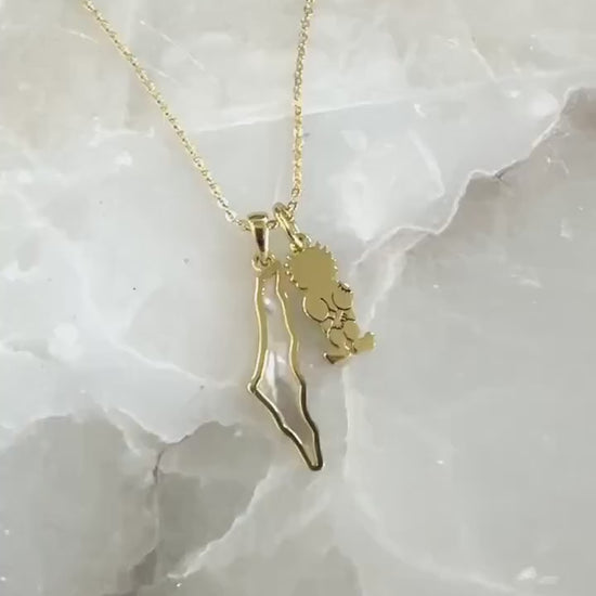 Gold Plated Palestine Map Necklace – Sterling Silver, Mother of Pearl