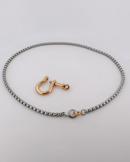 Horseshoe Clasp Chain Necklace