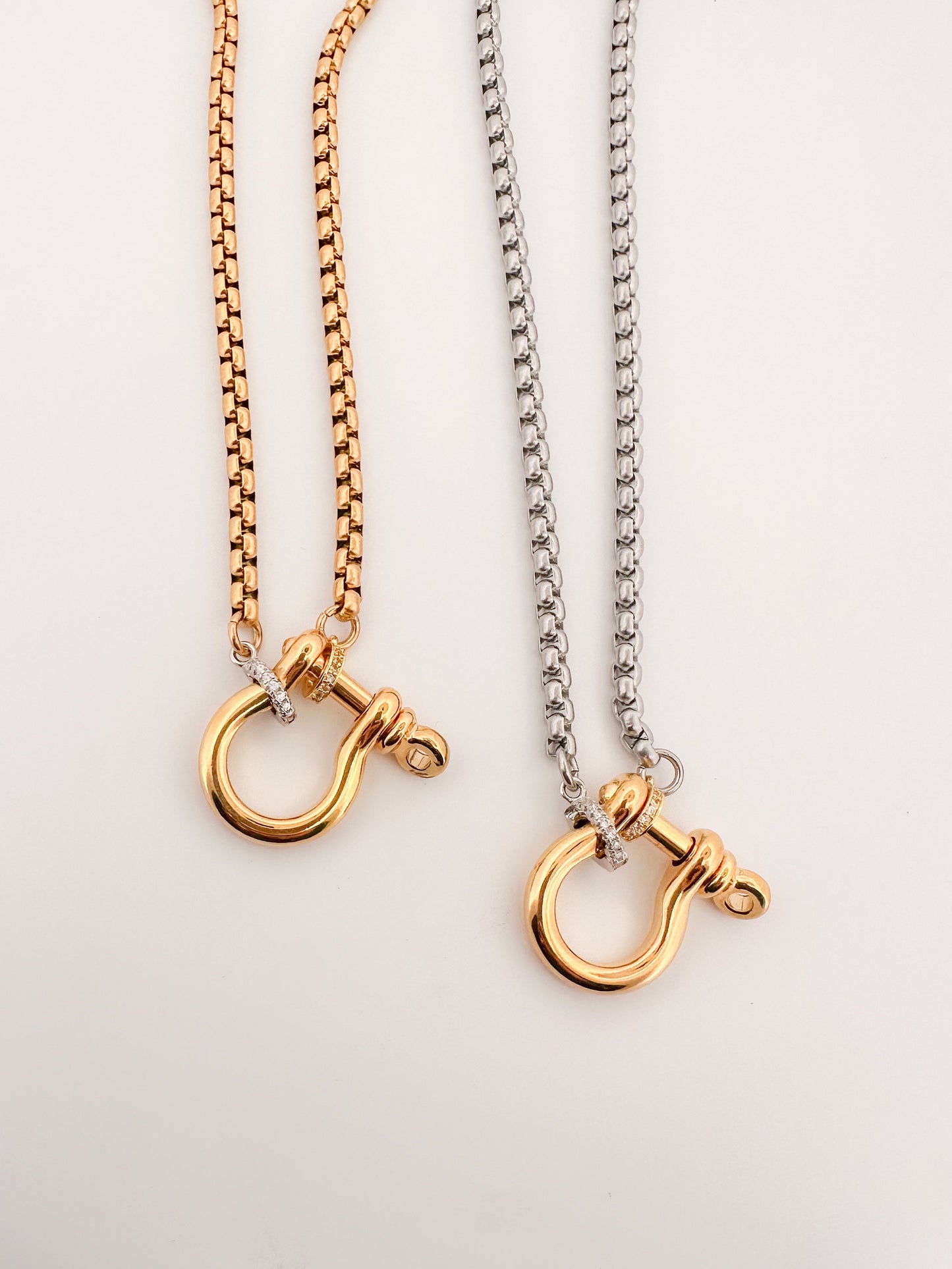 Horseshoe Clasp Chain Necklace